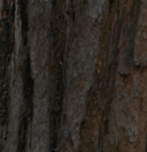 Screenshot 2025-09-03 at 21.26.51.png